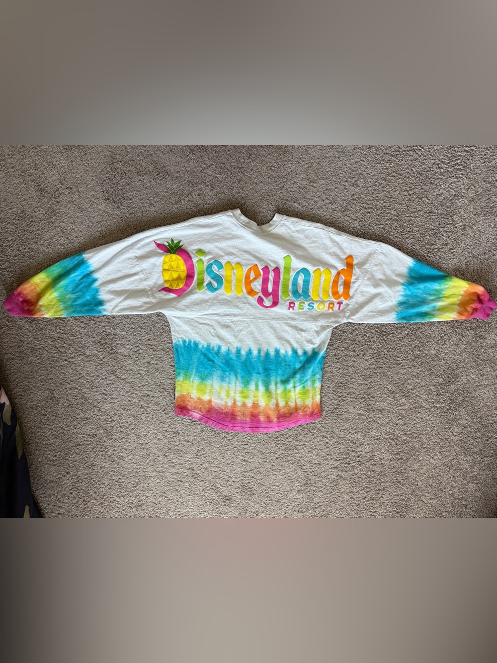Disney Rainbow Spirit Jersey DISNEYLAND